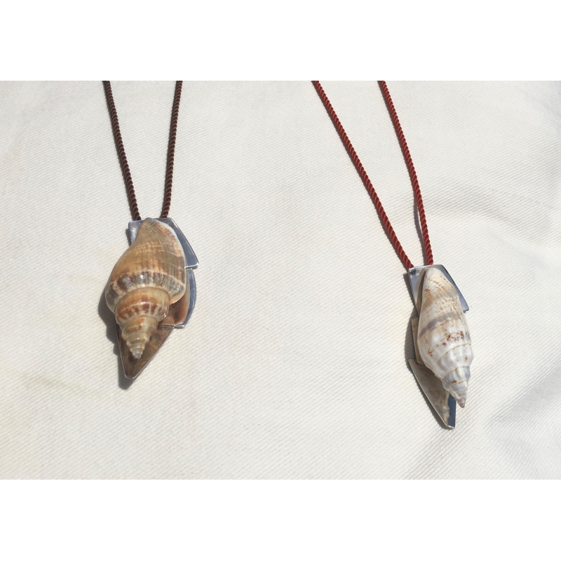 SEA SNAIL CONE